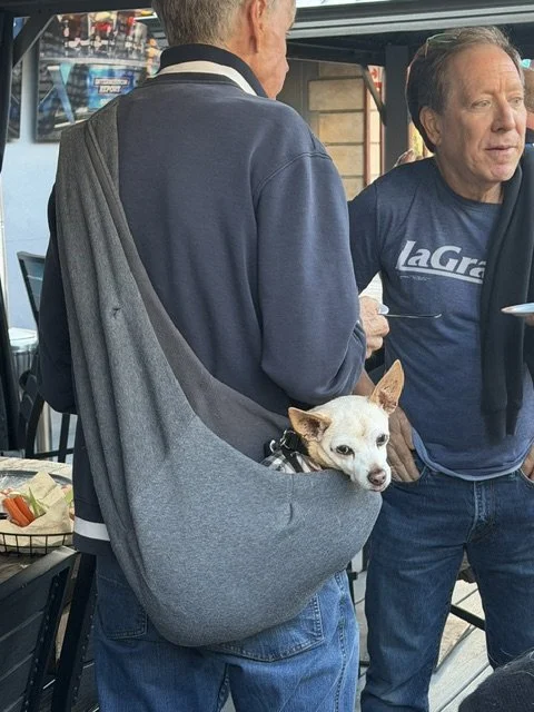 Unknown-2.jpeg