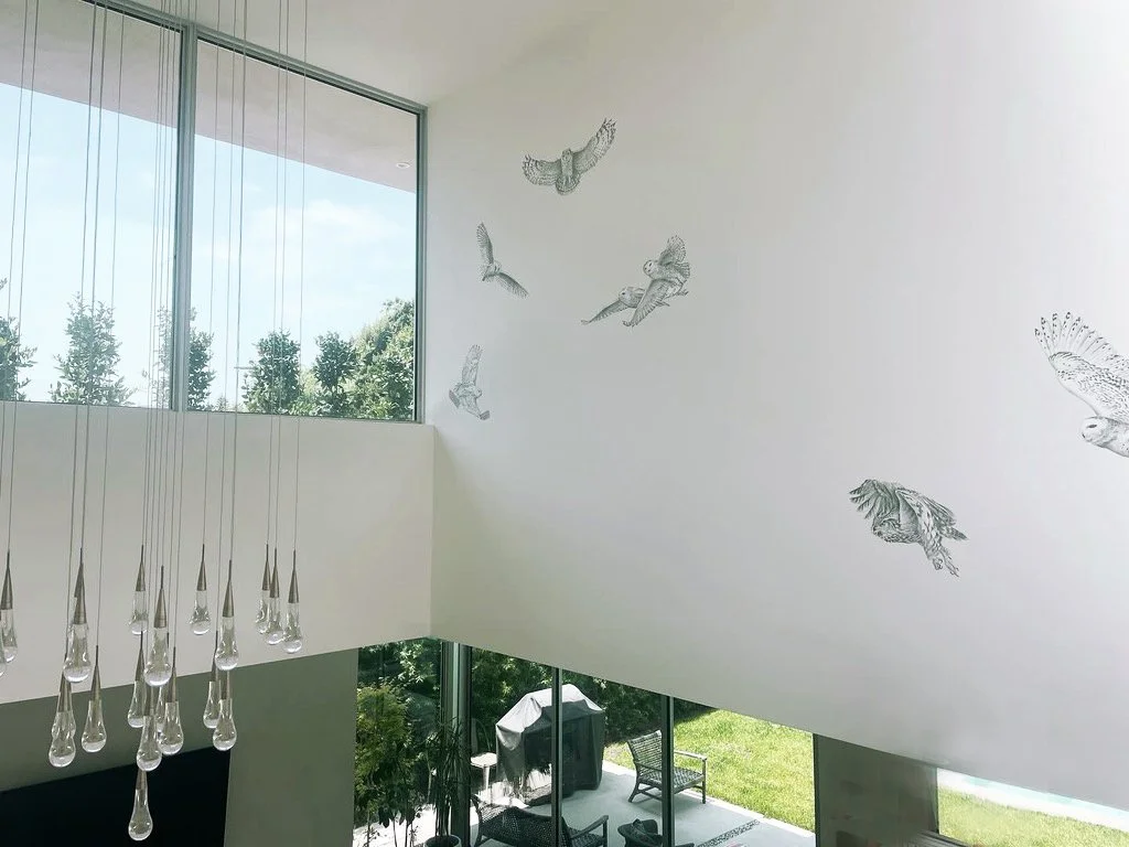 6 Owl mural, graphite on Pellon, a removable reposition-able mural.jpg