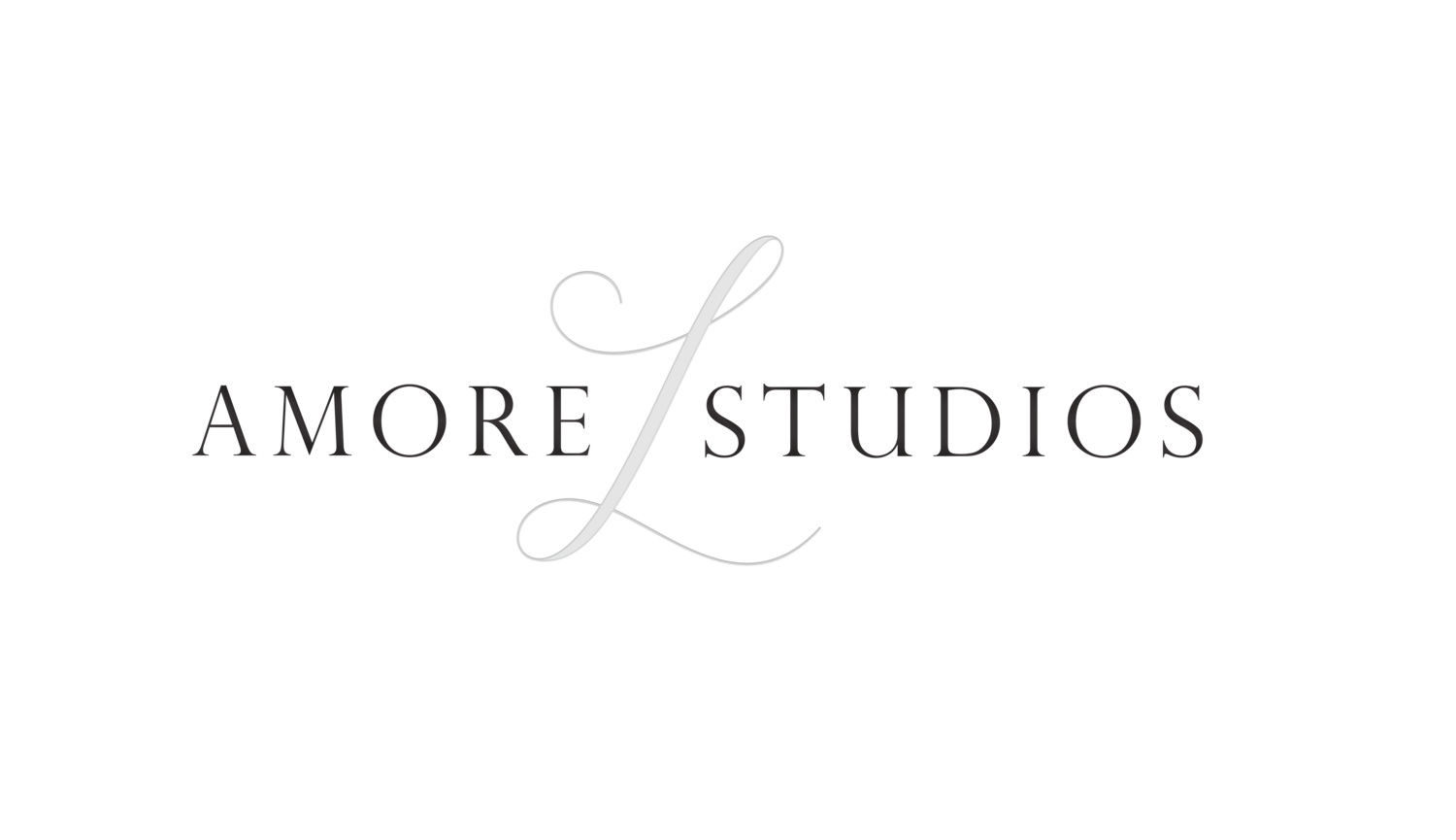 Amore Lux Studios - Minneapolis | St. Paul Photography & Videography Company