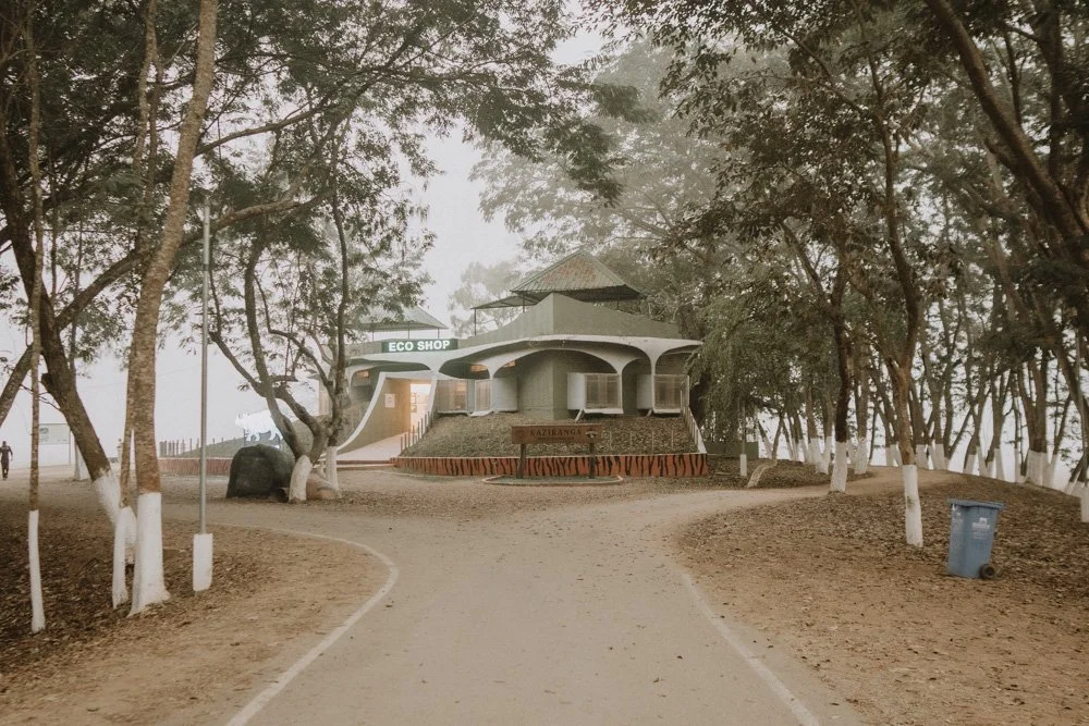 KAZIRANGA_ELEPHANT SAFARI-2.jpg