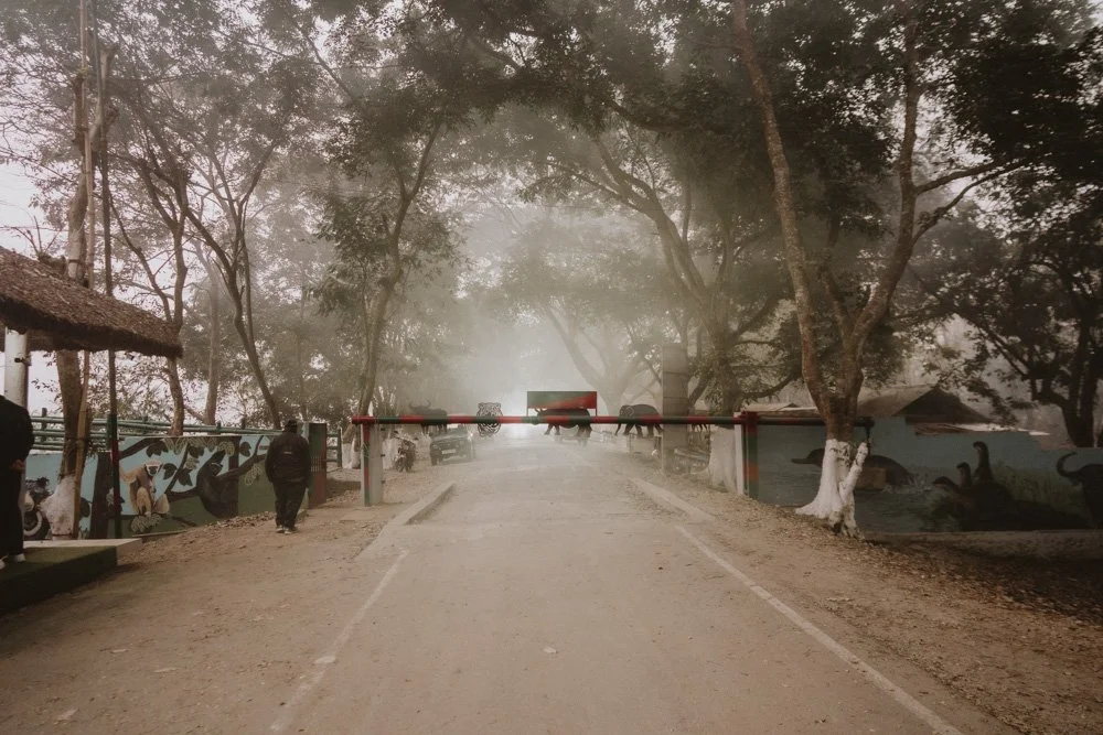 KAZIRANGA_ELEPHANT SAFARI-5.jpg