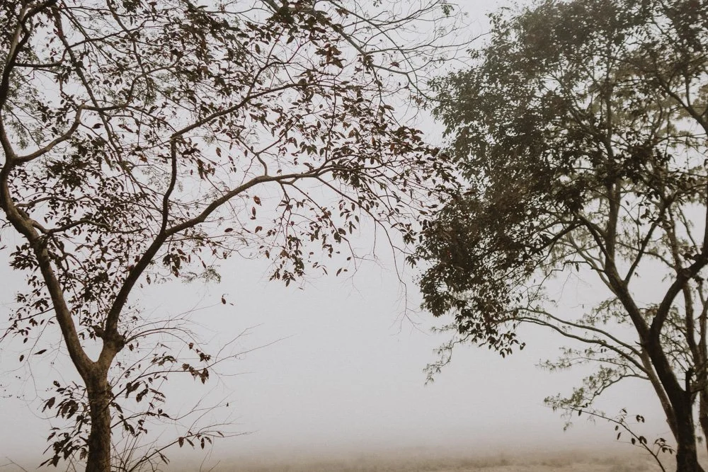 KAZIRANGA_ELEPHANT SAFARI-6.jpg