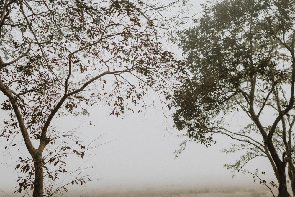 KAZIRANGA_ELEPHANT SAFARI-7.jpg