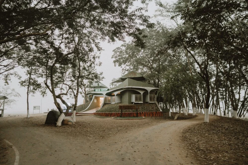 KAZIRANGA_ELEPHANT SAFARI-8.jpg