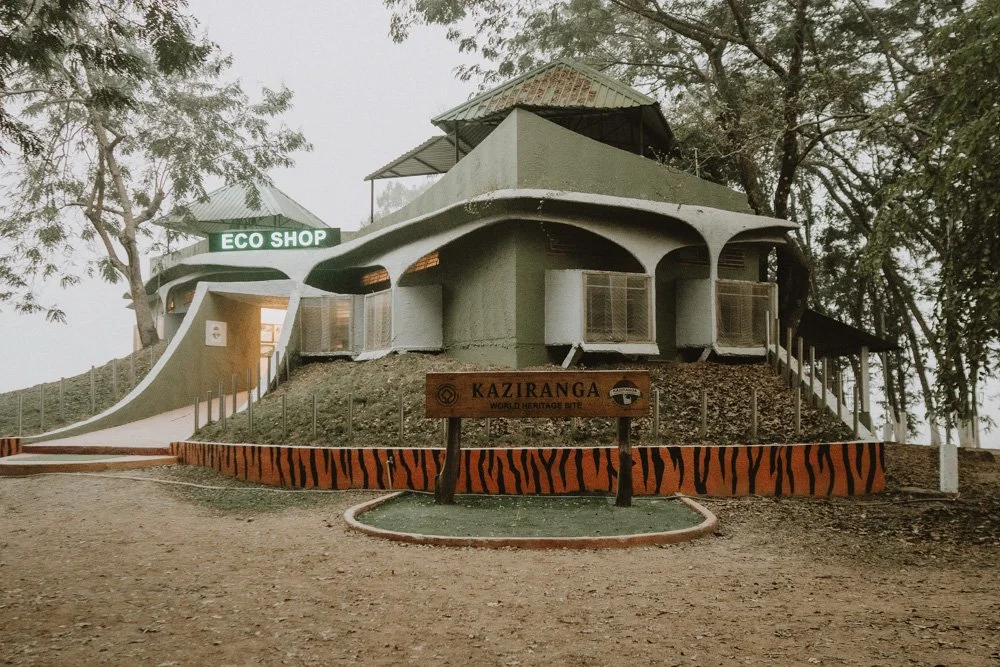 KAZIRANGA_ELEPHANT SAFARI-9.jpg