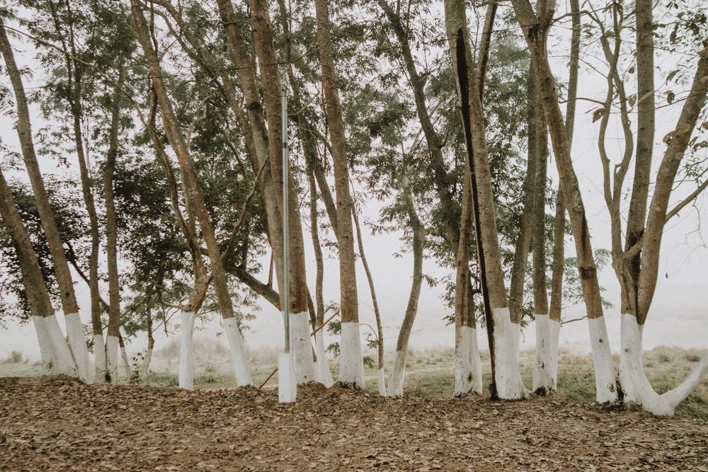 KAZIRANGA_ELEPHANT SAFARI-10.jpg