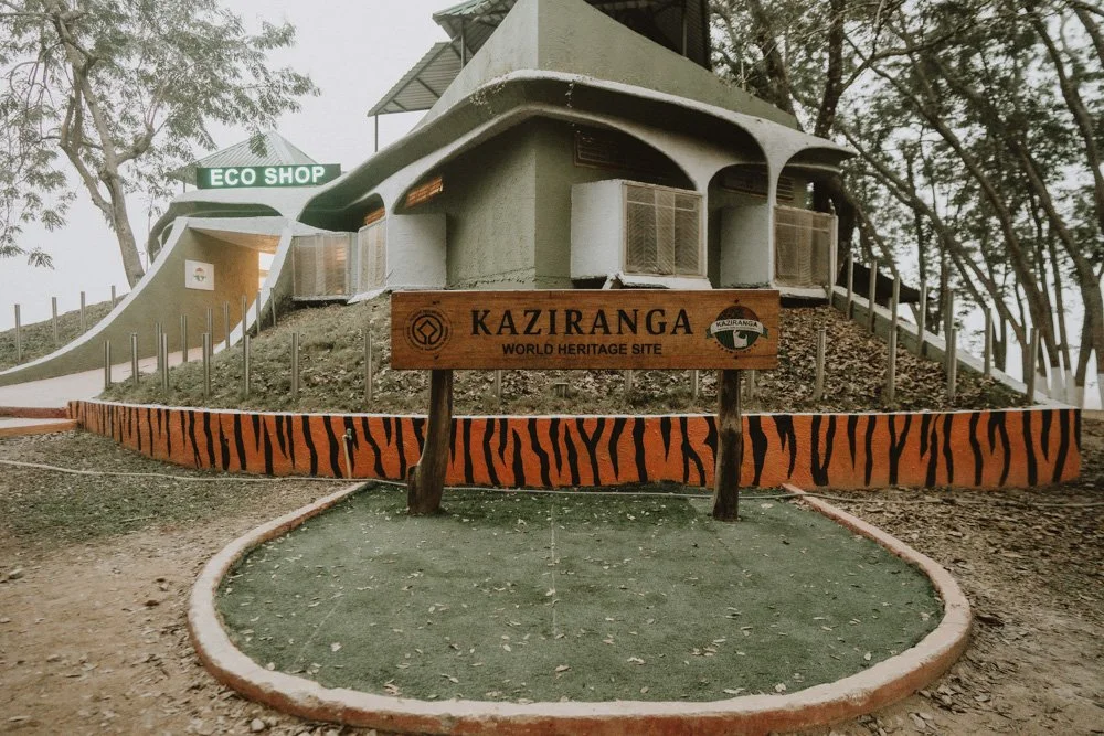 KAZIRANGA_ELEPHANT SAFARI-12.jpg