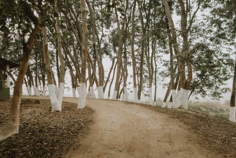 KAZIRANGA_ELEPHANT SAFARI-13.jpg