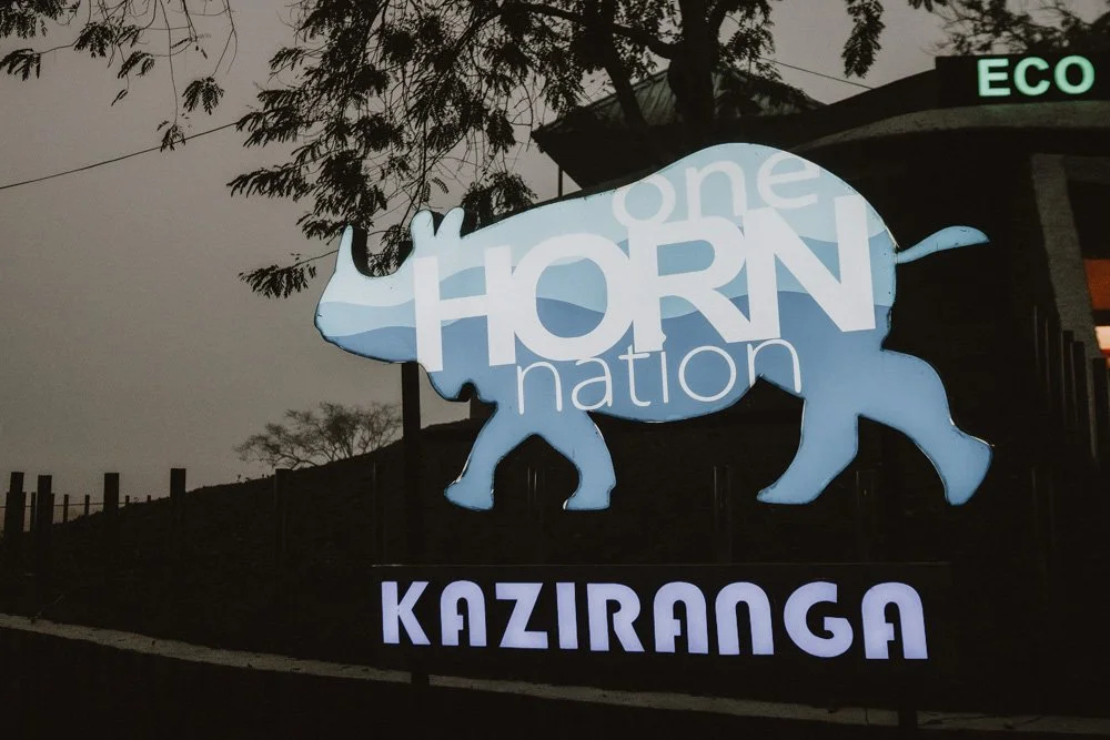 KAZIRANGA_ELEPHANT SAFARI-14.jpg