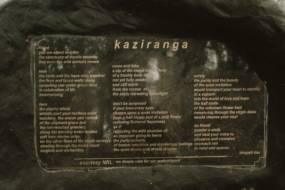 KAZIRANGA_ELEPHANT SAFARI-15.jpg