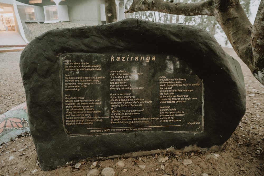 KAZIRANGA_ELEPHANT SAFARI-16.jpg