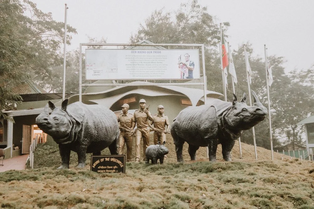 KAZIRANGA_ELEPHANT SAFARI-18.jpg