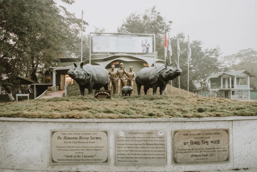 KAZIRANGA_ELEPHANT SAFARI-19.jpg