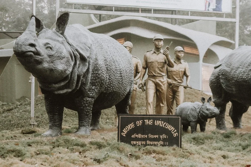 KAZIRANGA_ELEPHANT SAFARI-20.jpg