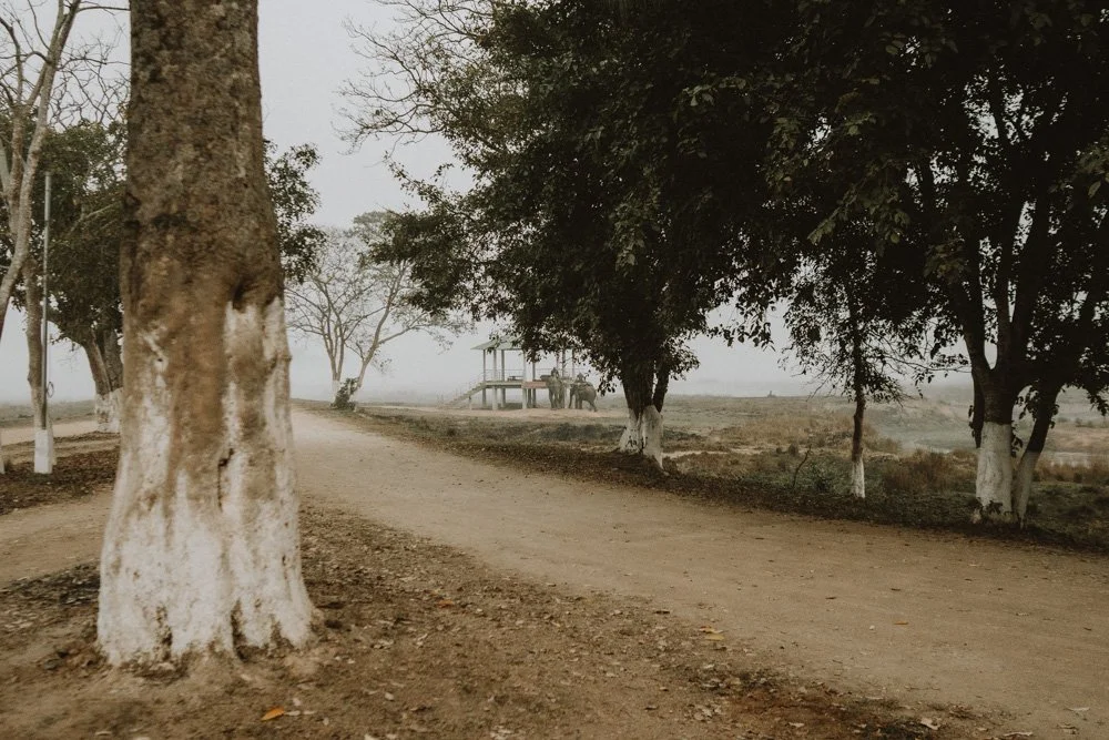 KAZIRANGA_ELEPHANT SAFARI-21.jpg