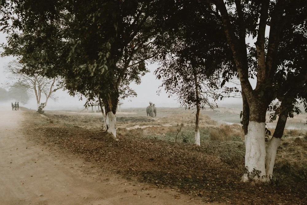 KAZIRANGA_ELEPHANT SAFARI-22.jpg