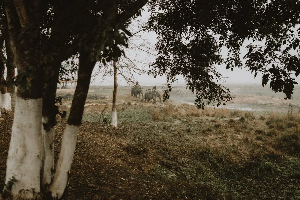 KAZIRANGA_ELEPHANT SAFARI-23.jpg