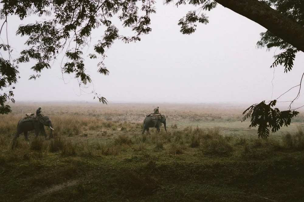 KAZIRANGA_ELEPHANT SAFARI-28.jpg