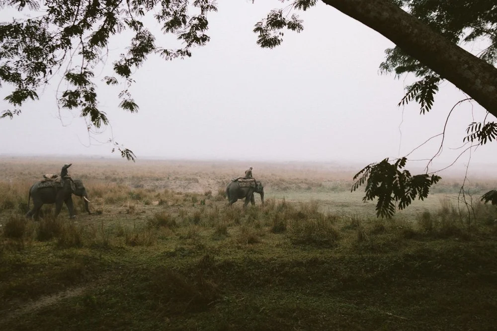 KAZIRANGA_ELEPHANT SAFARI-29.jpg