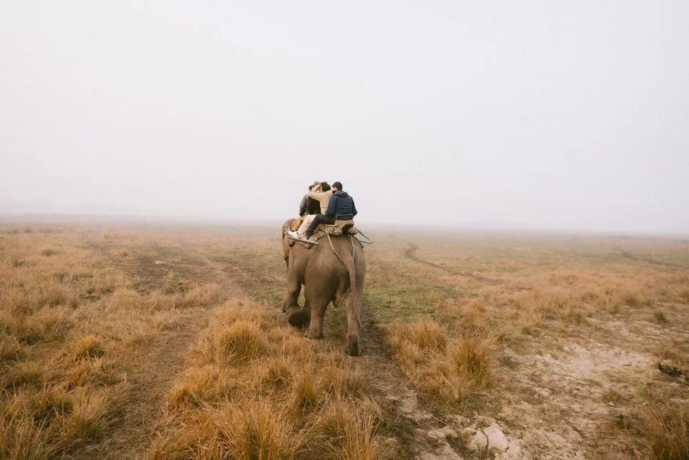 KAZIRANGA_ELEPHANT SAFARI-30.jpg