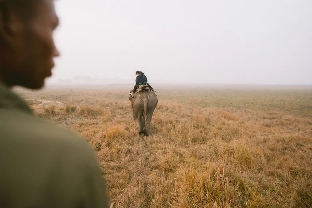 KAZIRANGA_ELEPHANT SAFARI-31.jpg