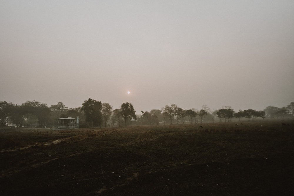 KAZIRANGA_ELEPHANT SAFARI-32.jpg