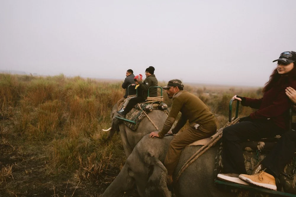 KAZIRANGA_ELEPHANT SAFARI-40.jpg