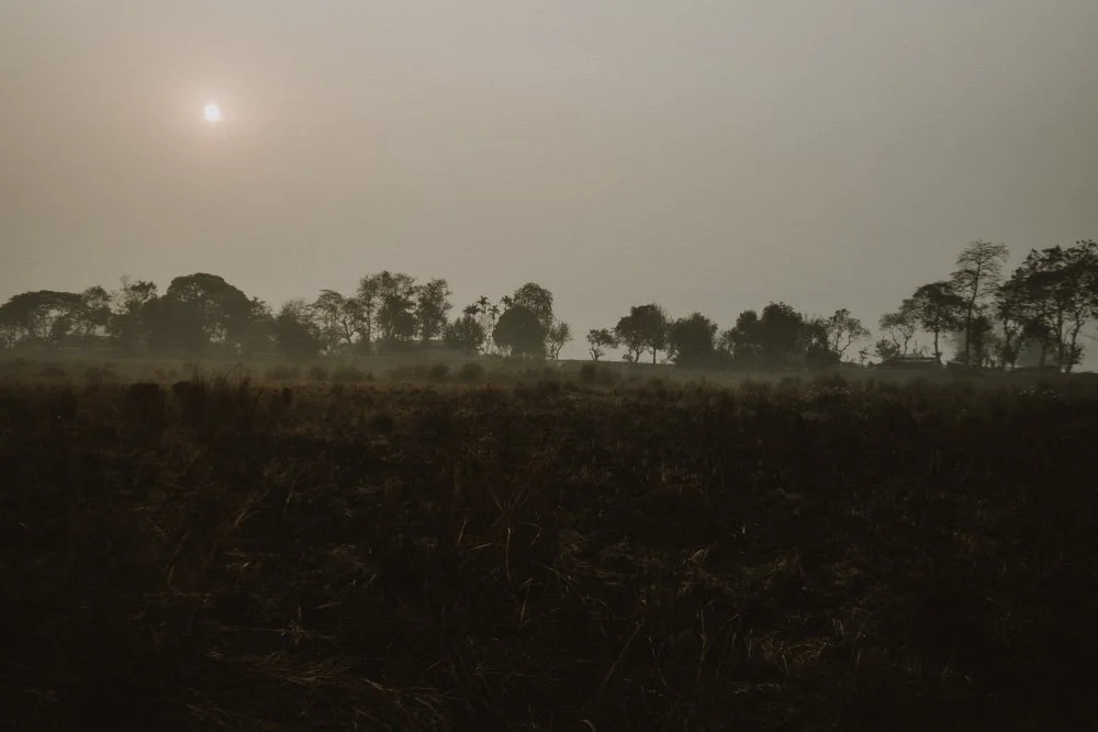 KAZIRANGA_ELEPHANT SAFARI-72.jpg