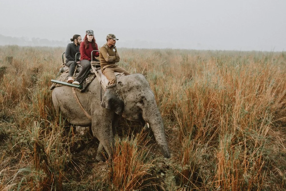 KAZIRANGA_ELEPHANT SAFARI-87.jpg