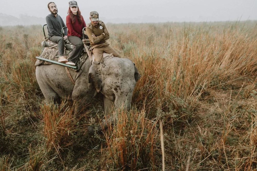 KAZIRANGA_ELEPHANT SAFARI-88.jpg