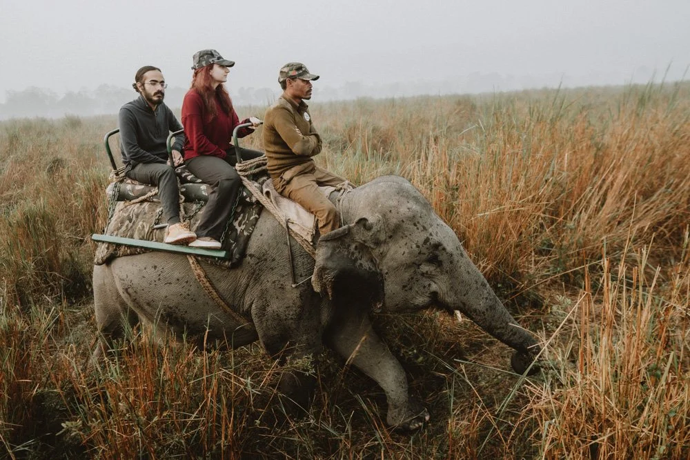 KAZIRANGA_ELEPHANT SAFARI-89.jpg