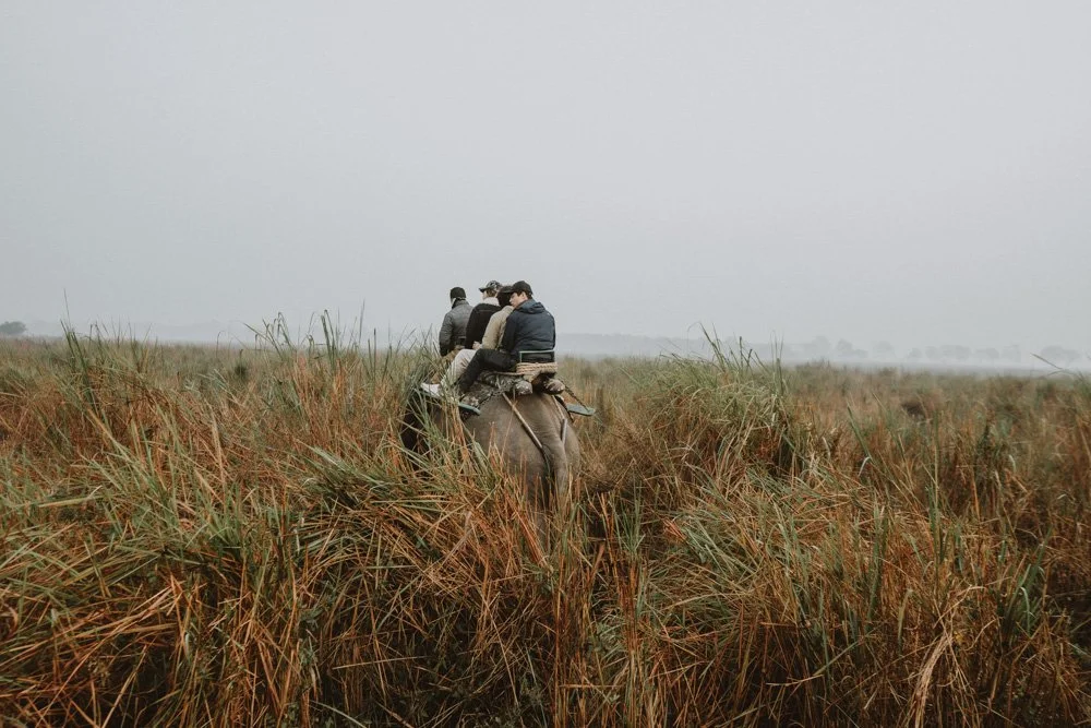 KAZIRANGA_ELEPHANT SAFARI-90.jpg
