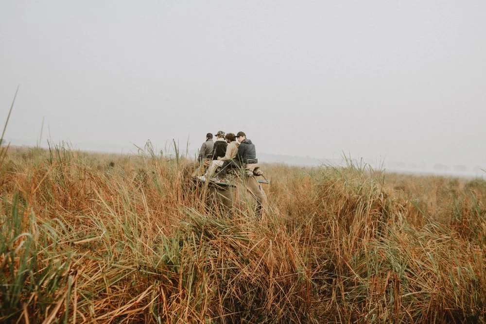 KAZIRANGA_ELEPHANT SAFARI-91.jpg