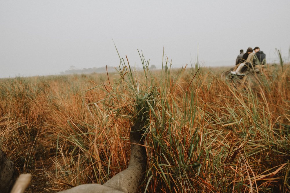 KAZIRANGA_ELEPHANT SAFARI-94.jpg