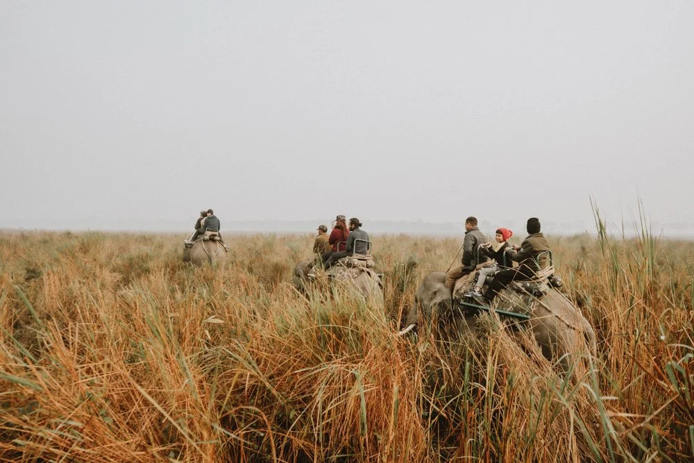 KAZIRANGA_ELEPHANT SAFARI-96.jpg