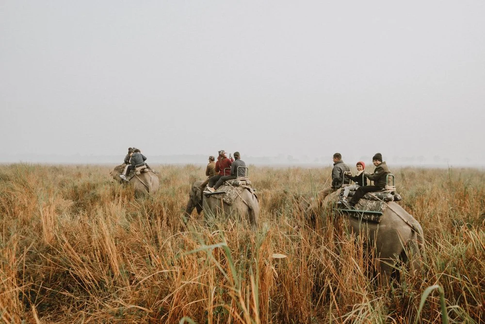 KAZIRANGA_ELEPHANT SAFARI-97.jpg