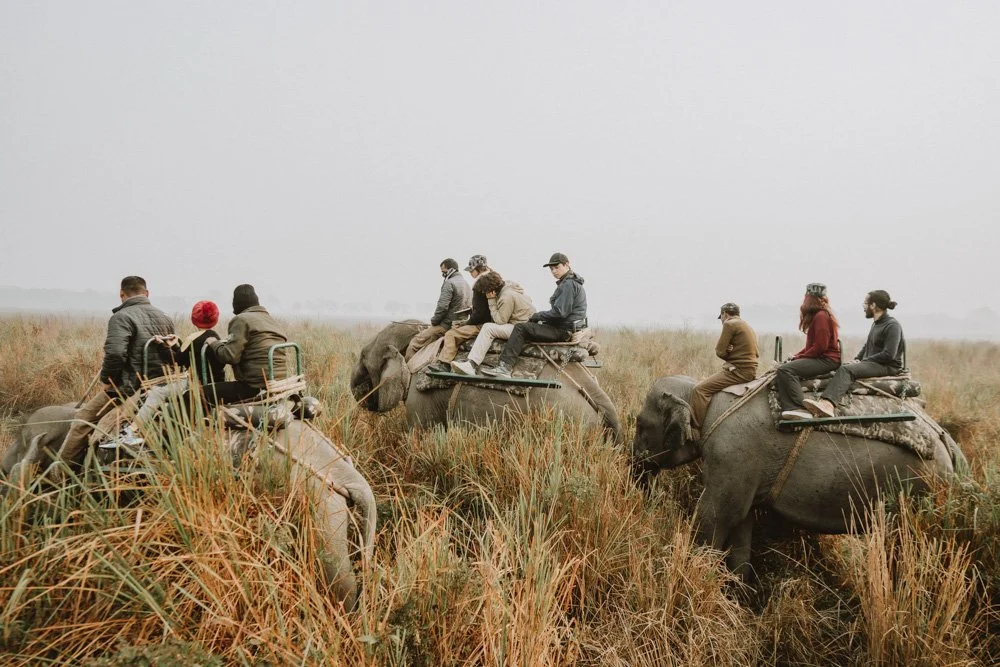 KAZIRANGA_ELEPHANT SAFARI-99.jpg