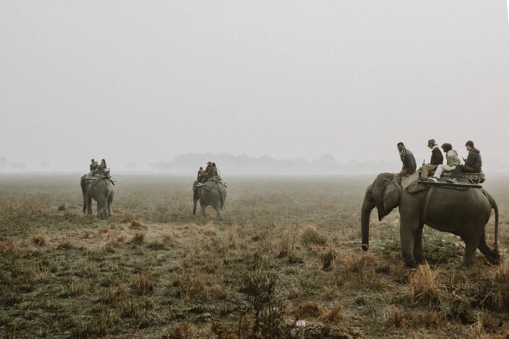 KAZIRANGA_ELEPHANT SAFARI-105.jpg