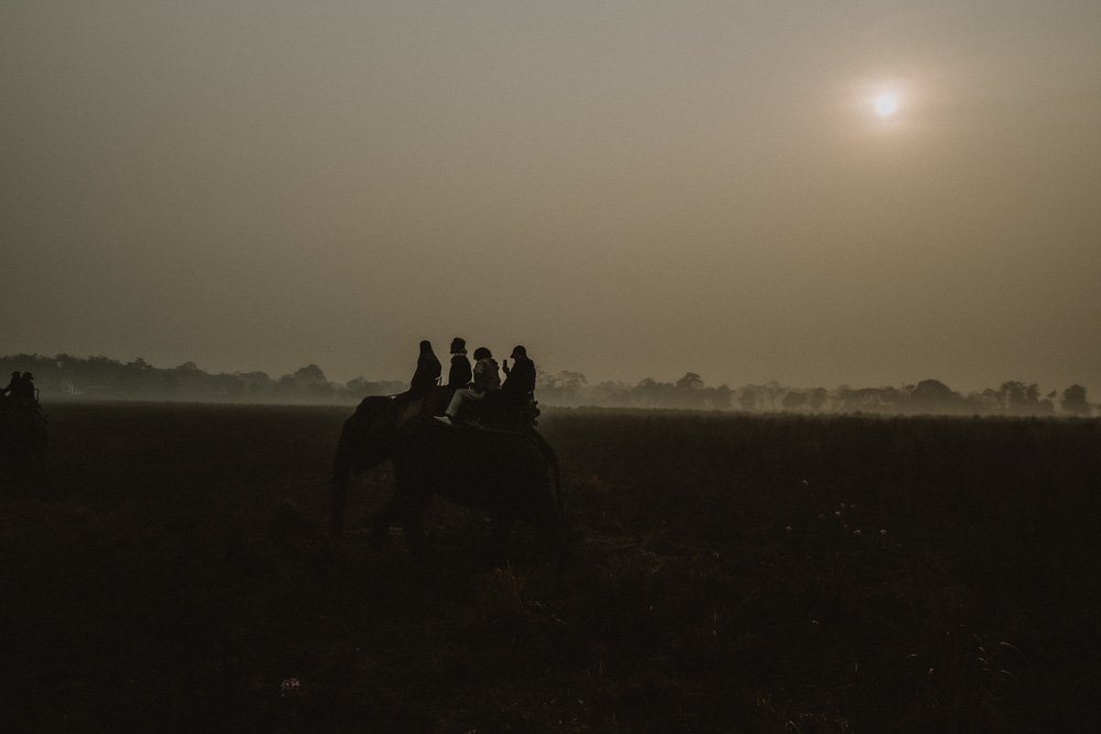 KAZIRANGA_ELEPHANT SAFARI-106.jpg