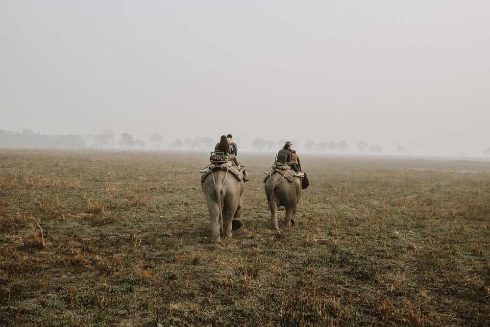 KAZIRANGA_ELEPHANT SAFARI-107.jpg