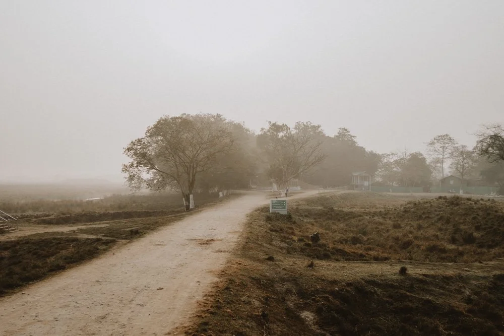 KAZIRANGA_ELEPHANT SAFARI-109.jpg