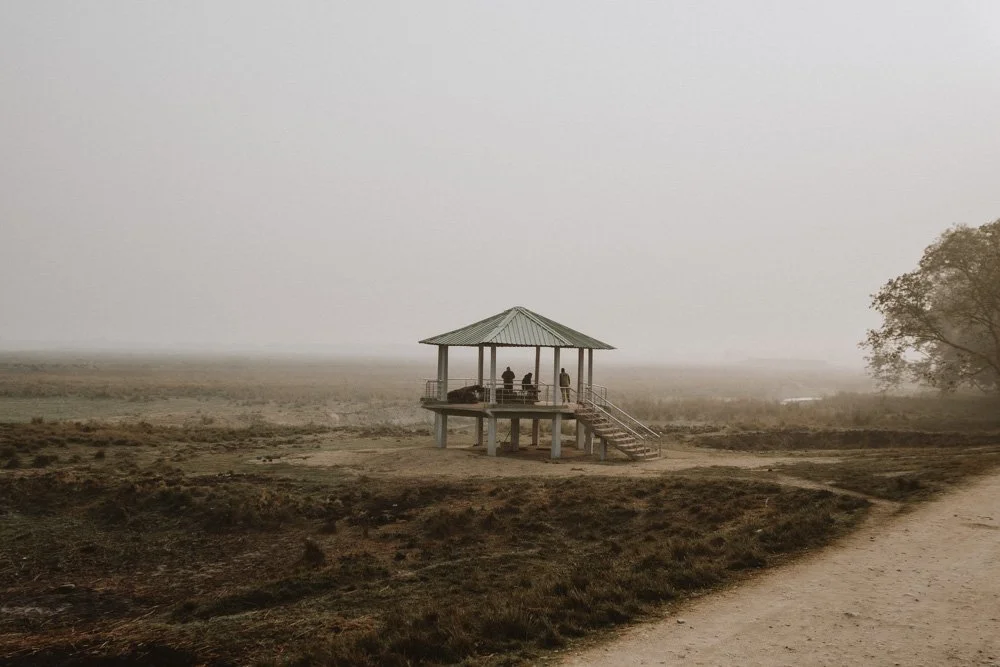 KAZIRANGA_ELEPHANT SAFARI-110.jpg