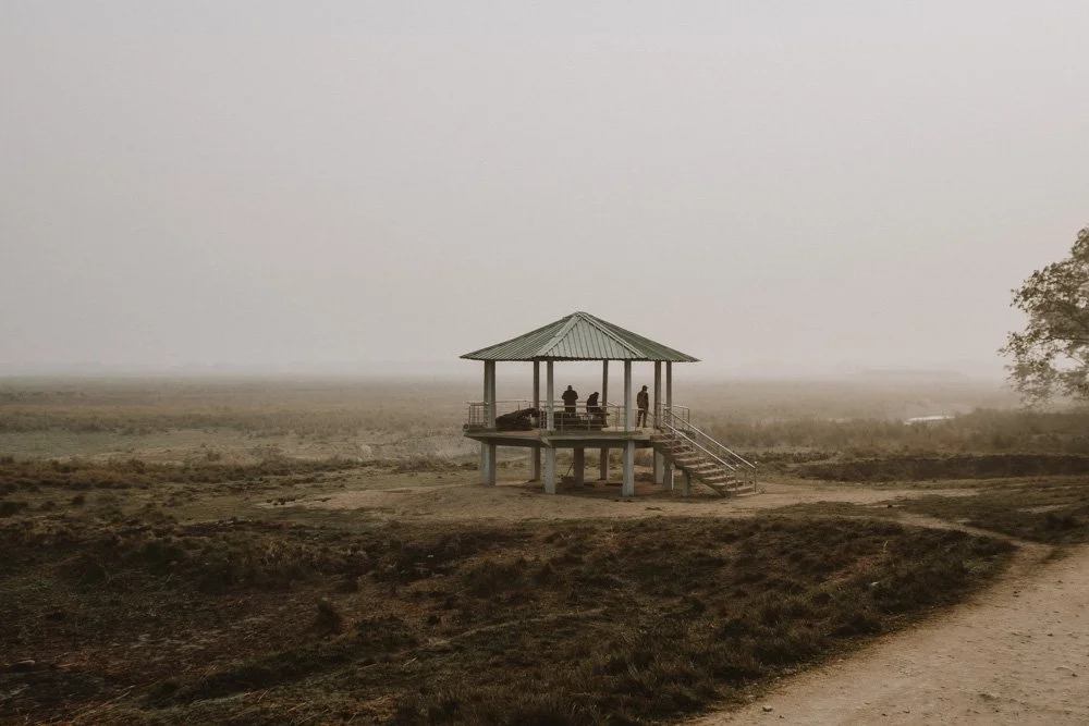 KAZIRANGA_ELEPHANT SAFARI-111.jpg