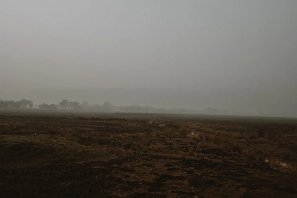 KAZIRANGA_ELEPHANT SAFARI-112.jpg