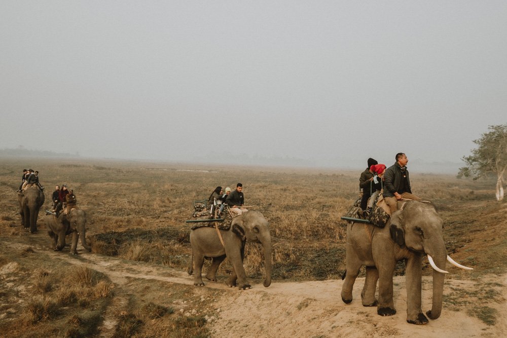 KAZIRANGA_ELEPHANT SAFARI-113.jpg