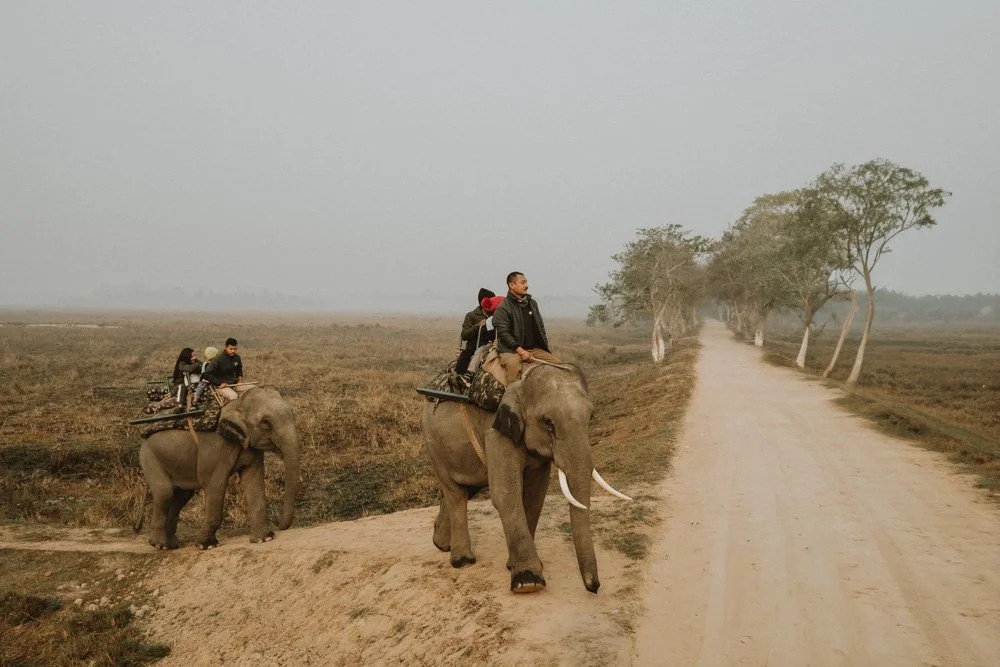 KAZIRANGA_ELEPHANT SAFARI-114.jpg
