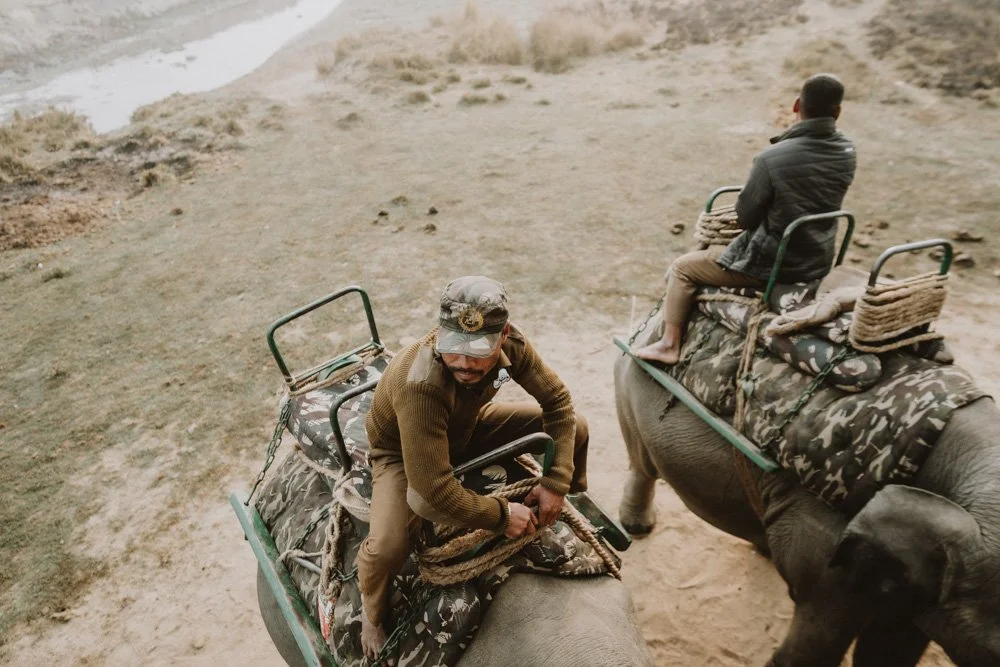 KAZIRANGA_ELEPHANT SAFARI-117.jpg