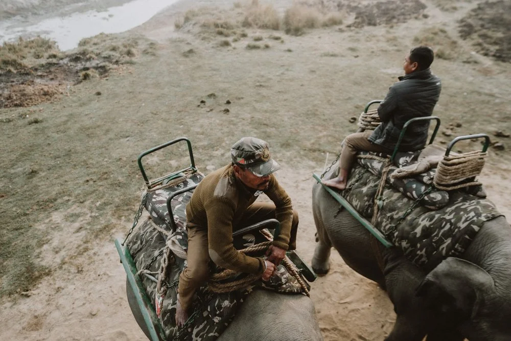 KAZIRANGA_ELEPHANT SAFARI-118.jpg