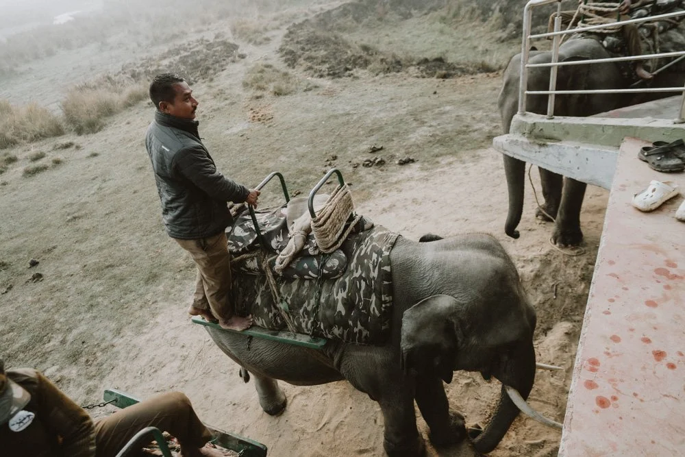 KAZIRANGA_ELEPHANT SAFARI-119.jpg