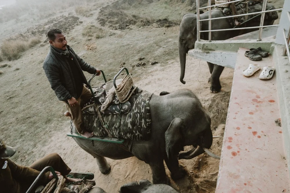 KAZIRANGA_ELEPHANT SAFARI-120.jpg